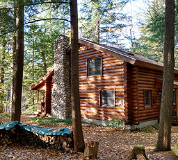 log cabins in the woods