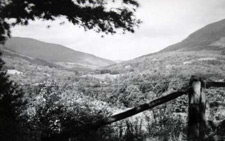 vermont log cabins